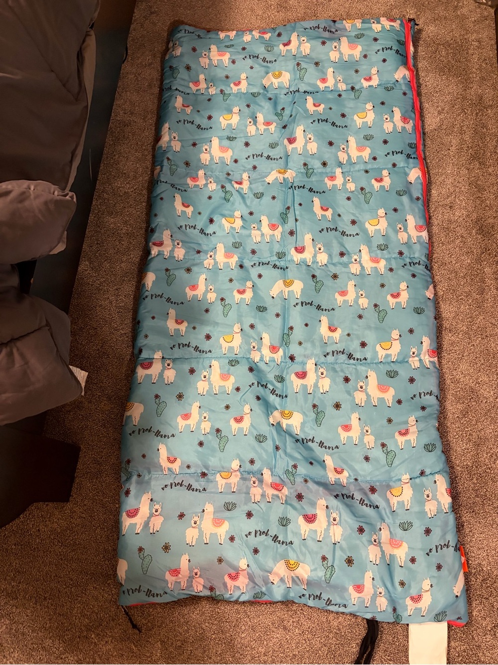 Llama Ozark Trail Sleeping Bag